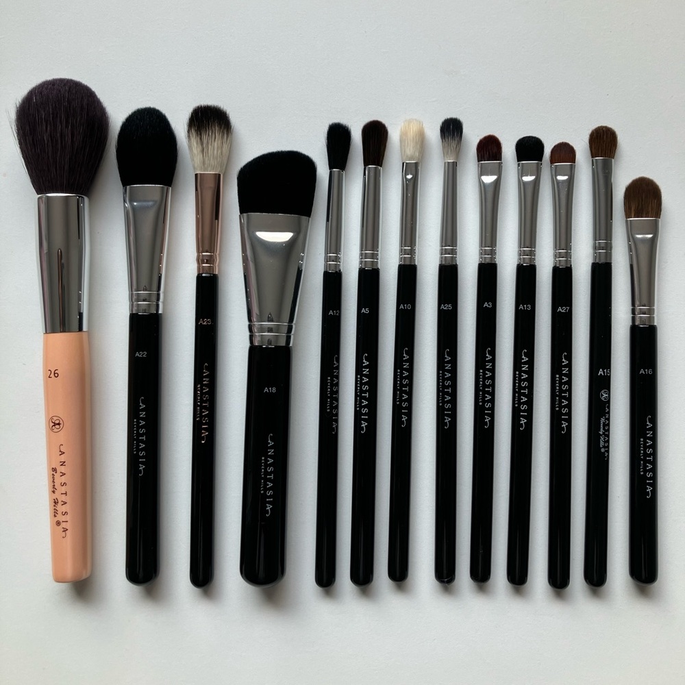 ANASTASIA BEVERLY HILLS Makeup Brushes and Makeup Bag